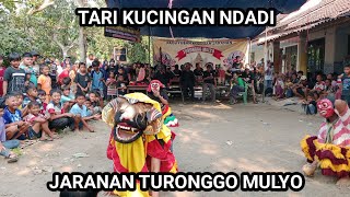 TARI KUCINGAN NDADI JARANAN TURONGGO MULYO LIVE SUMBERJO GLUNDENGAN