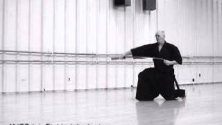 Iaido - Jikiden - Eishinryu - 9 - Takiotoshi - 2007/04/15