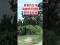 真實的台灣電線杆紅燈籠來換個角度 筑芊心 台灣 台湾 鄉村生活 鄉間小路上 廟會文化