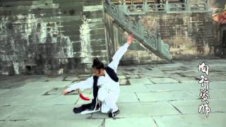 WuDang Tai Yi Xuan Men Jian Sword 玄门剑by Master Xiang Zishi 向资师