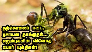 Ant Fight Explained |Suicide செய்து கூட்டத்தைக் காக்கும் எறும்புகள் | Is It True Series?| Vikatan Tv