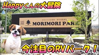 [シーズー🐶・ソロキャンプ🚗]MORIMORIパーク伊賀　 ソロ車中泊