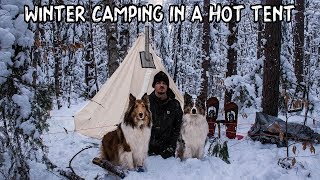 Winter Camping in a Hot Tent with My Dogs