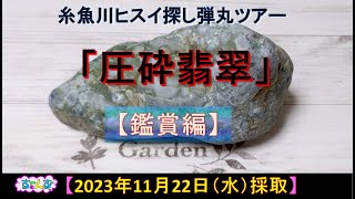 2023年11月22日（水）【いい夫婦の日】「鑑賞編」