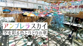 空を彩る色とりどりの傘「アンブレラスカイ」がはっちとマチニワで開催中｜ 青森県八戸市のニュース