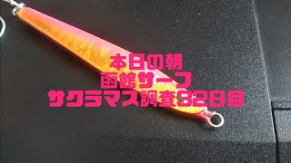 今の函館サーフをお届け！サクラマス調査３２日目