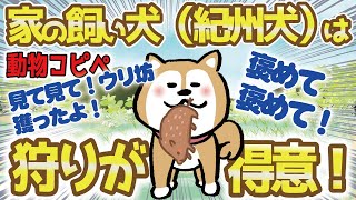 【2ch面白いスレ】家の飼い犬(紀州犬)は狩が得意！　動物コピペ#71【2chまとめ】