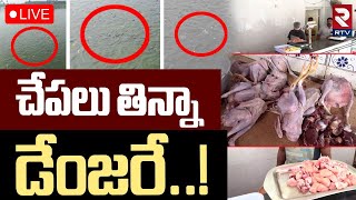 Bird Flu Effect on AP and Telangana🔴LIVE : చేపలు తిన్నా డేంజరే..! | RTV