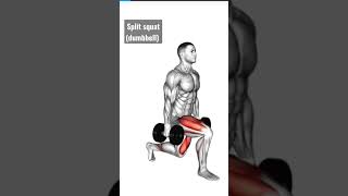 split squat dumbbell. #shorts