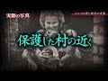 【悲劇】ライオンが飼い主を...？彼らが迎えた最悪の結末