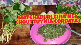 Houttuynia Cordata Matchaduri Chutney