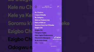 DAALU NNA_CATHOLIC CHOIR LYRICS #catholic #catholicchurch #catholicmass #catholique #catholicgospel