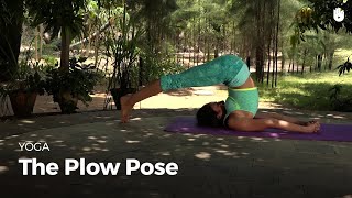 Learn the Plow Pose - Halasana | Yoga