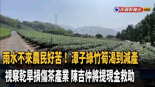 雨水不來農民苦! 潭子綠竹筍渴到減產 盼政府補助－民視新聞