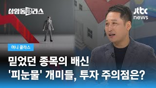 믿었던 종목의 배신…'피눈물' 개미들, 투자 주의점은? (김광석 한양대 겸임교수) / JTBC 상암동 클라스