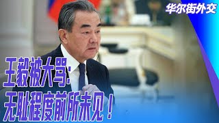 王毅被大骂：无耻程度前所未见！猛批日韩亲美：头发染黄、鼻子修尖也变不成西方人｜华尔街外交