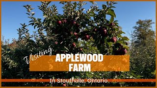 Visiting Applewood Farm In The Fall! Apple Trees, Pumpkins, Corn Stalks \u0026 More! (A Quick ASMR Video)