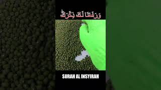 Write Hijaiyah Letters On Green Beans With Surah Al Insyirah #quran #juzamma #juz30 #surah #tahfidz