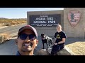 Explore Joshua Tree National Park | 4K Vlog | Best of Joshua Tree in 2022 | National Park Guide