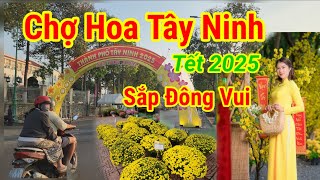 Chợ hoa tết 2025 tây ninh 19 âm lịch có gì mới đã  đông chưa hoa ngày tết