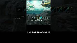 【ゼルダの伝説 ティアーズ オブ ザ キングダム】ボコブリンを跡形もなく消しとばすハイラルの勇者UC