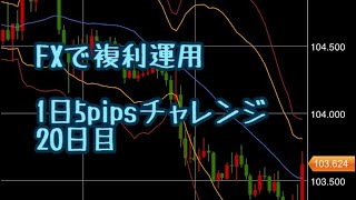 FX複利運用 １日5pipsチャレンジ　20日目