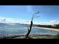 4k scenery sea and sky meet world in mind north point brighton melbourne 风景 面向大海海天相接胸怀天下