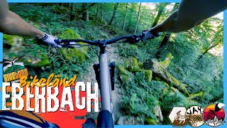 BIKELÄND EBERBACH // Lumberjack und Alle Farben // Santa Cruz 5010 v5