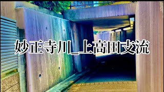 妙正寺川_上高田支流 #東京暗渠探検隊