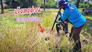 แจ้งเหตุด่วนขณะล่าอาหารป่าเกือบเอาชีวิตไม่รอด เหตุการณ์ใหญ่ต้อนรับปี 68