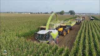 Chopping Corn Silage near Goshen Indiana | Zimmerman Family Harvesting