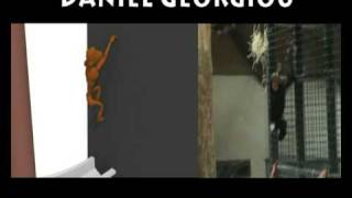 Motion Reference - Chimpanzee Animation