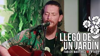 Fabián Martínez - Llegó de un jardín [En Vivo] La culpa es de los amigos