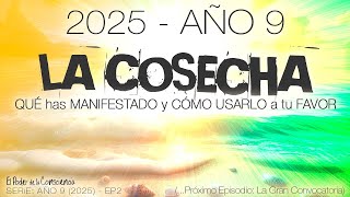 🌟Año 9 - 2025👉TU COSECHA es la SEMILLA del IMPULSO de un SALTO CUÁNTICO