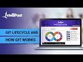What is Git | Git Lifecycle & How Git Works | Git Tutorial For Beginners | Intellipaat