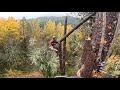 Treetop Joyrides: Sending Big Tops in the Pouring Rain