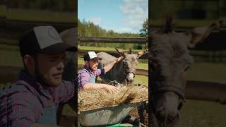 A Man With His Donkey/#donkey #animals #meeting