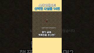 스타크래프트 신박한 사실들 14편