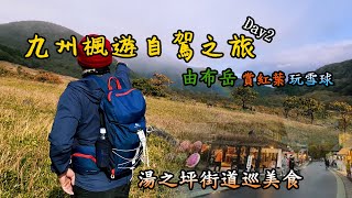 【2023日本九州賞楓自由行】Day2 自駕之旅｜由布岳｜湯布院｜山下賞楓｜上山玩雪