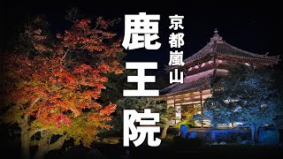 【京都旅行】鹿王院のライトアップを見てきました【嵐山観光】