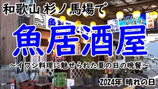 【居酒屋】和歌山 杉ノ馬場 魚居酒屋でディナー