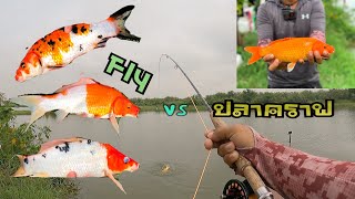 Easy fishing ฟลาย vs ปลาคราฟ