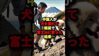 ㊗️100万回再生㊗️C国人が犬を連れて軽装で富士山に登った結果w #海外の反応