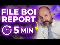 How To File The BOI Report For FREE (Step By Step)