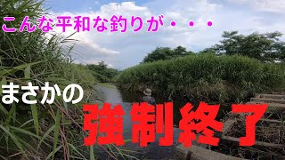 久しぶりの川釣りが〇〇で強制終了・・・【渓流釣り】