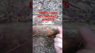 TRESPASSERS CAUGHT!!! #hunting #trespassing #deer #law #justice #trending #subscribe