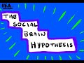 Introduction to the Social Brain