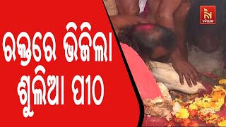 ପୁଣି ରକ୍ତରଞ୍ଜିତ ହେଲା ଶୁଲିଆ ପୀଠ । ମାନସିକ ପୂରଣ ପାଇଁ ପଡ଼ିଲା ହଜାର ହଜାର ସଂଖ୍ୟାରେ ପଶୁ ପକ୍ଷୀଙ୍କ ବଳି ।