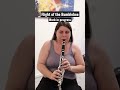 Flight of the Bumblebee #clarinet #shorts #musician #flightofthebumblebee #clarinetist #clarinets