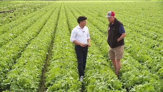What is the H-2A visa program and how is it affecting local farmworkers?